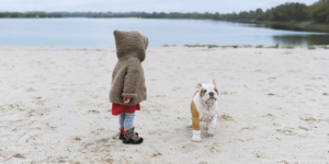 Little girl and Bulldog puppy at the beach
